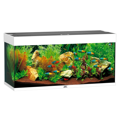 Juwel Aquarium Rio 180 101x41x50cm weiss