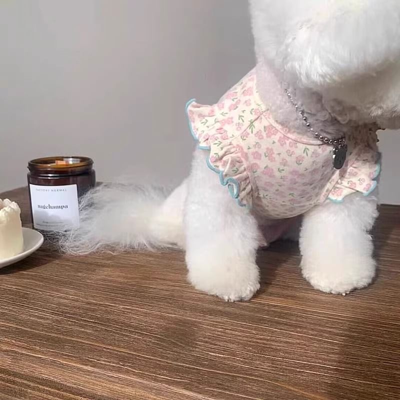 Cissilli - Bloemen Pet Top