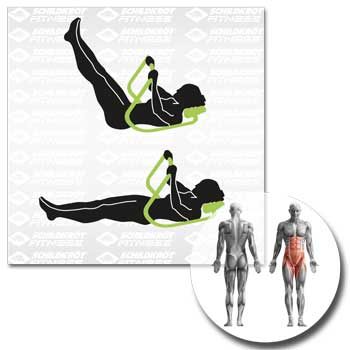 Schildkröt Fitness Bauchtrainer Classic