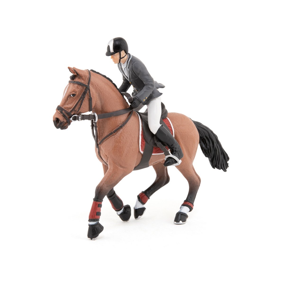 Cheval de concours et son cavalier