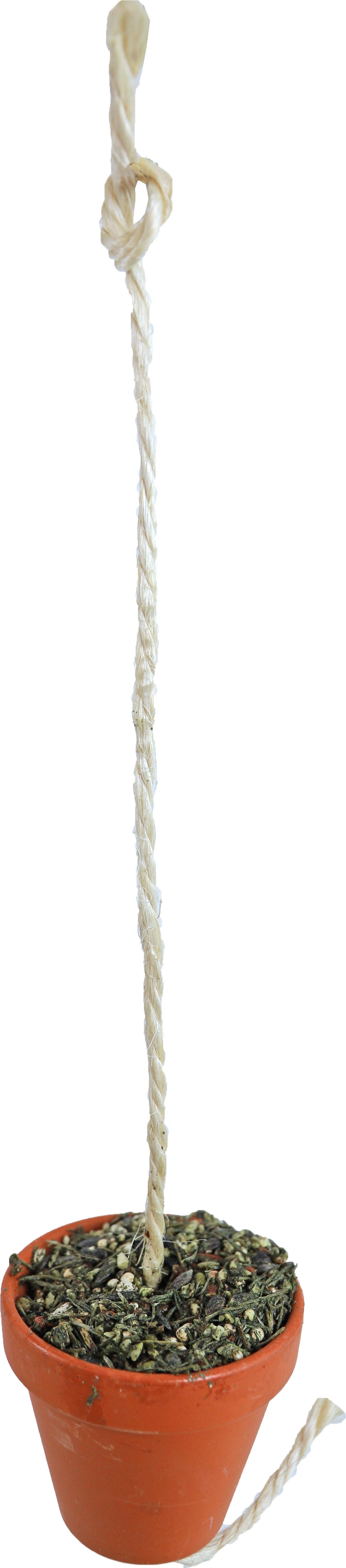 JR Farm Parkiet/Papegaai Pot 260 g