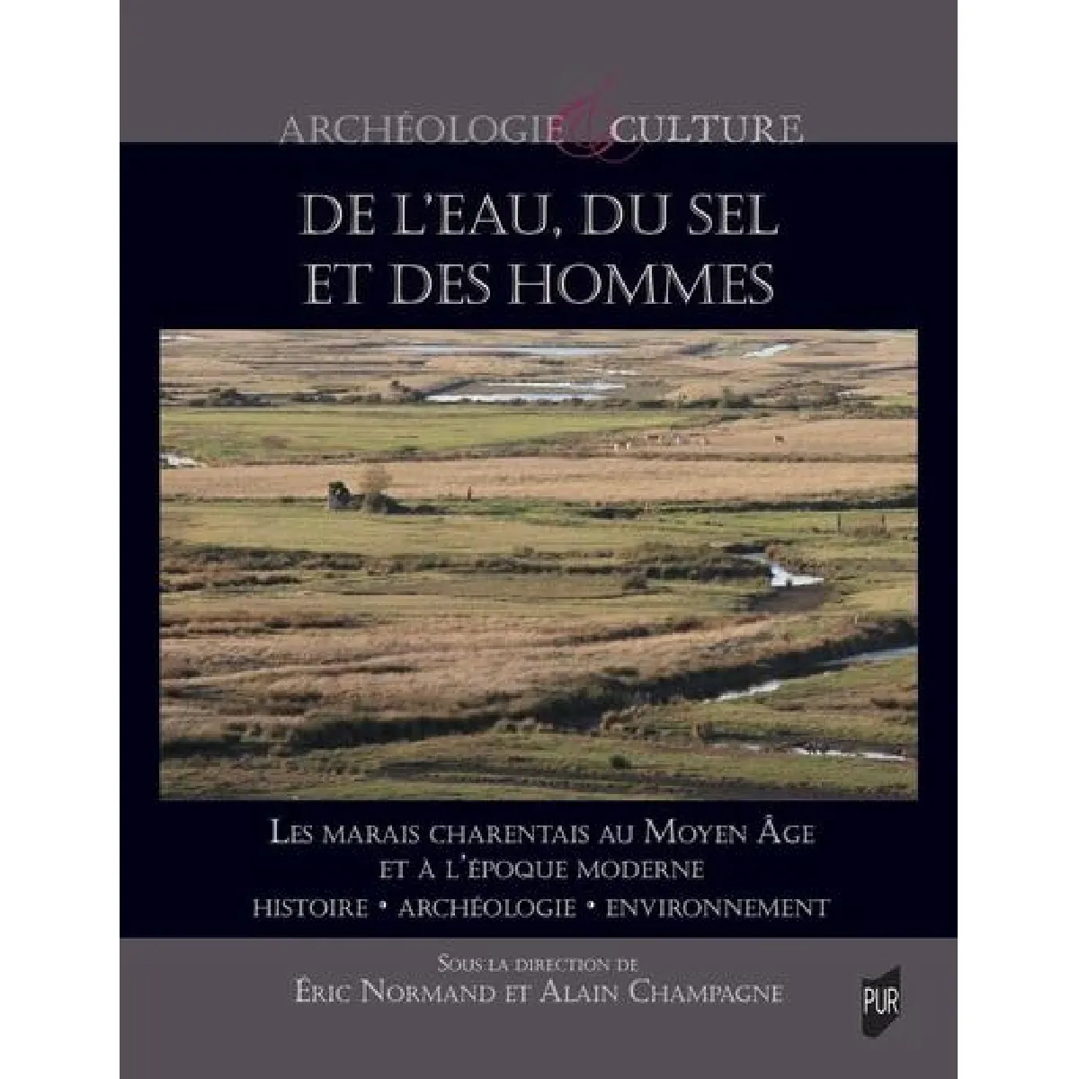 De l'eau, du sel et des hommes : les marais charentais au Moyen Age et à l'époque moderne : histoire, archéologie, environnement