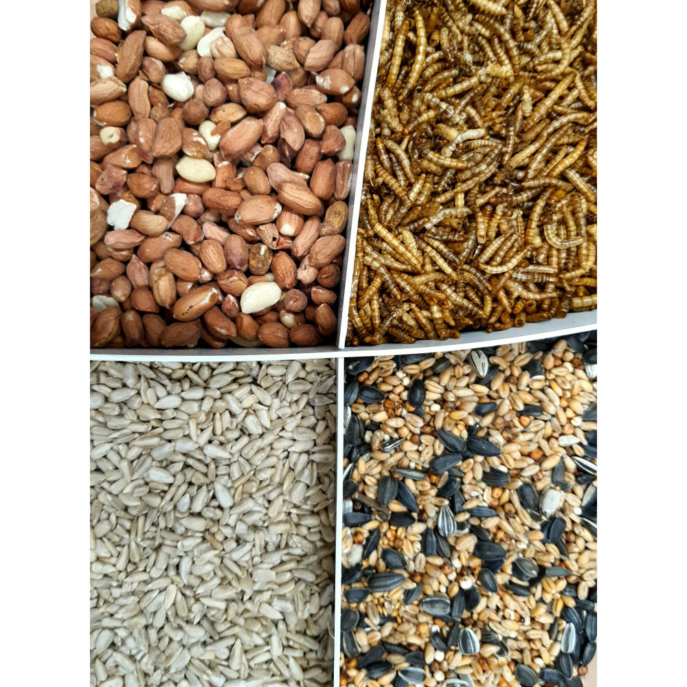Mix premium 4 variétés graines et vers de farine, seau de 2.5 kg pour oise