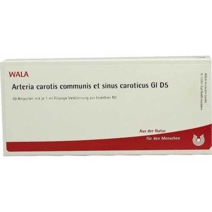 Arteria carotis communis et sinus caroticus GL D 5 Ampullen, 10X1 ml