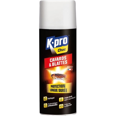 Bombe foudroyant - cafards et blattes - 400 mL