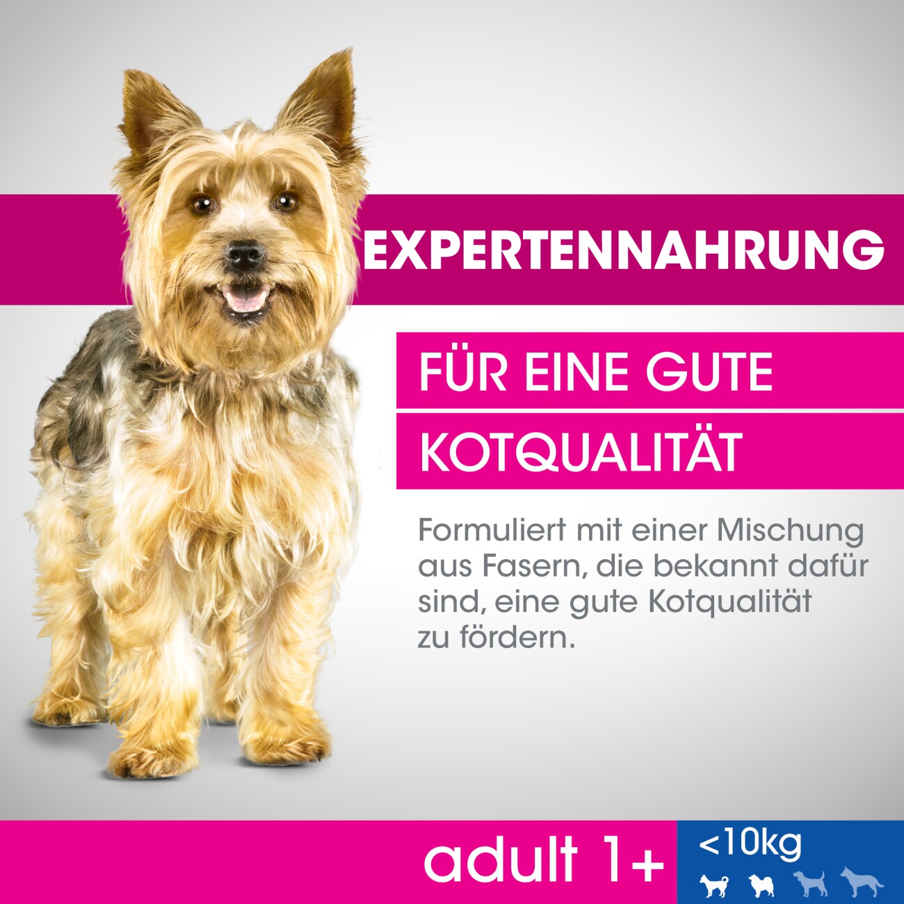 PERFECT FIT Adult 1+ Huhn XS/S 6 kg