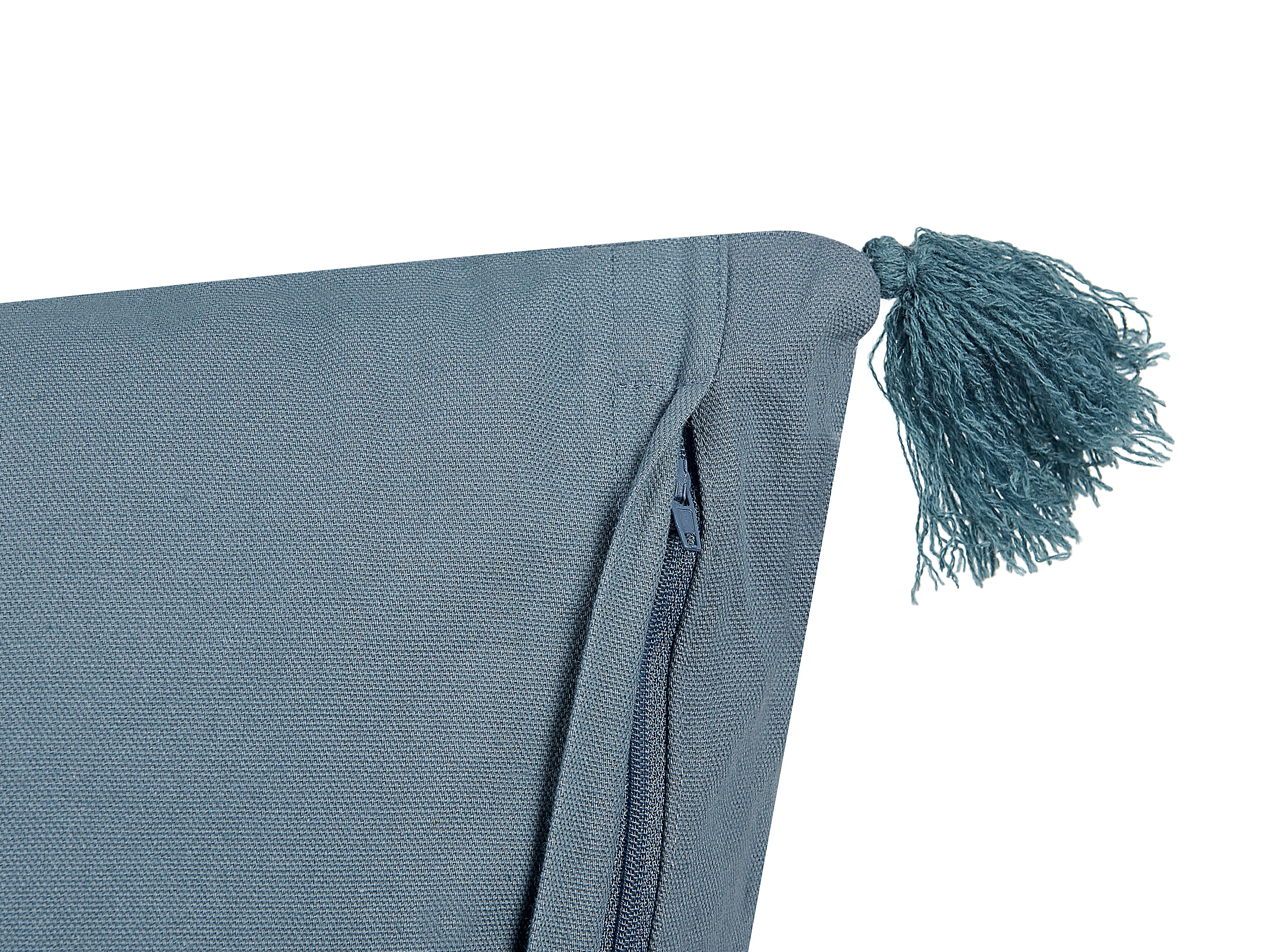 Set van 2 sierkussens RIBES Fluweel 45 x 45 cm Donkerblauw bloempatroon