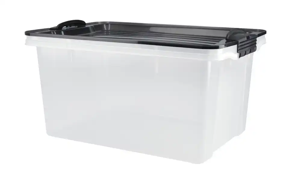 Rotho Aufbewahrungsbox mit Deckel