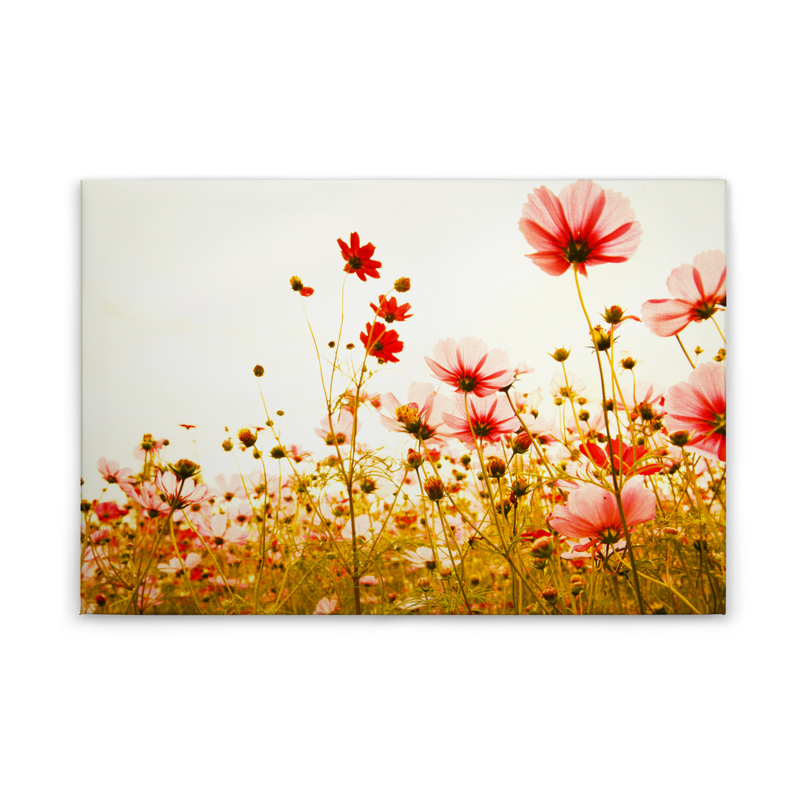 Leinwandbild BLUMENWIESE - rot-grün-gelb - 90x60 cm