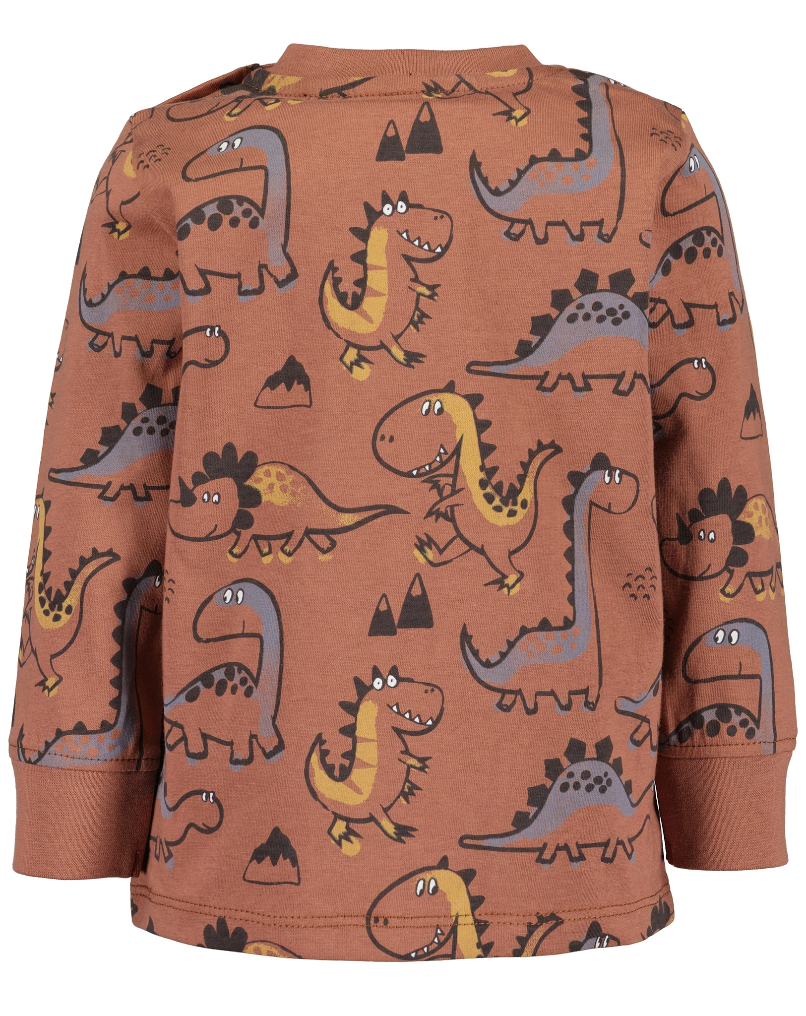 Langarmshirt CUTE DINOS AOP in kupfer