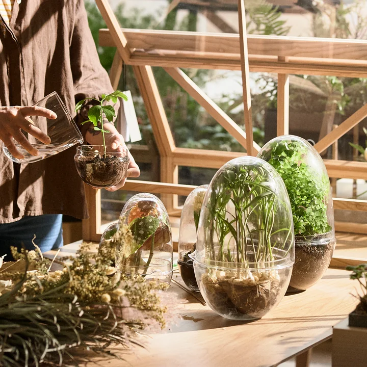 Design House Stockholm - Grow Gewächshaus, medium
