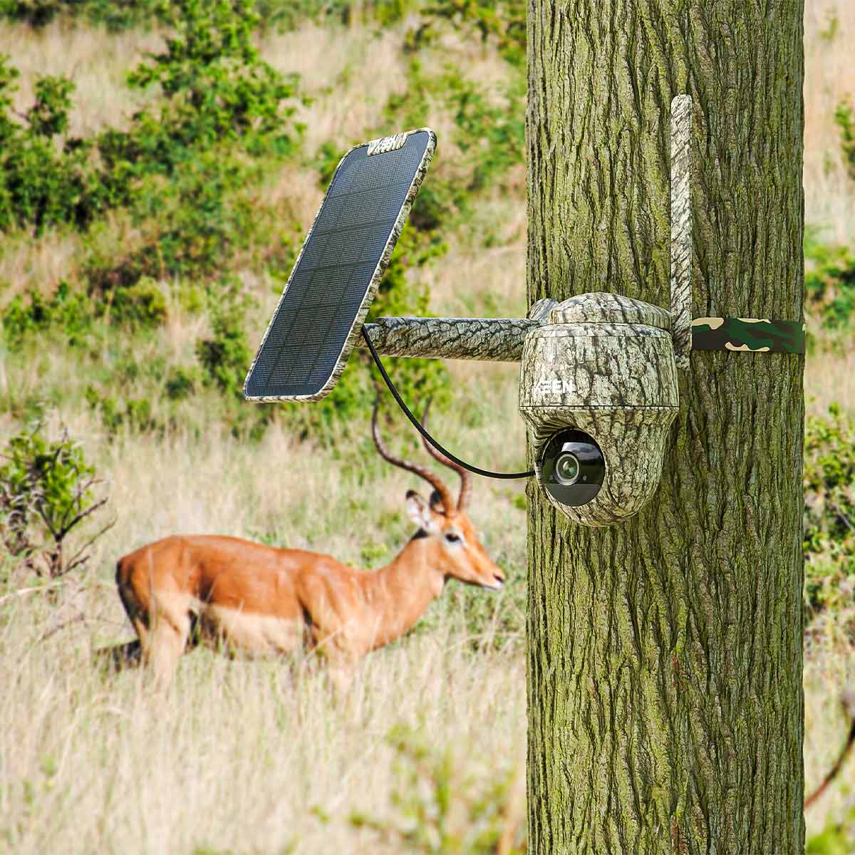 KEEN Ranger PT Wildkamera mit Schwenk-/ Neigefunktion, inkl. Solar Panel