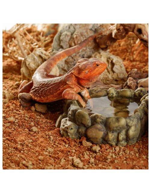 Exo Terra Stone Desert Substraat Outback Red - Voedingsbodem - 5 kg Rood