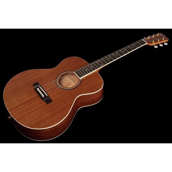 Harley Benton Bluesgitarren-Set 1