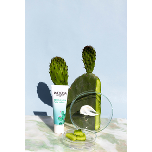 Weleda Vijgencactus 24h Hydraterende Gezichtscrème Light 30ML