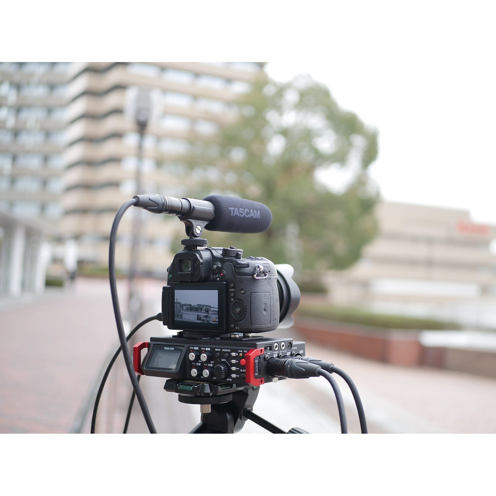 Tascam TM-200SG shotgun microfoon