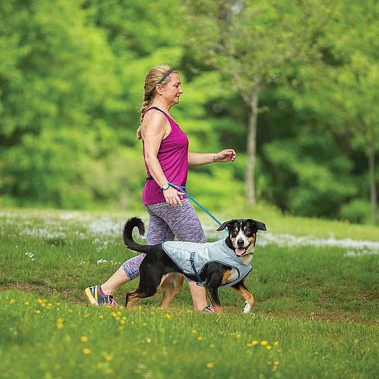 Kurgo Dog Core Cooling Vest Icy Blue Hondenkoelvest | Medium | 11638