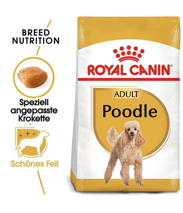 ROYAL CANIN® Trockenfutter für Hunde Poodle