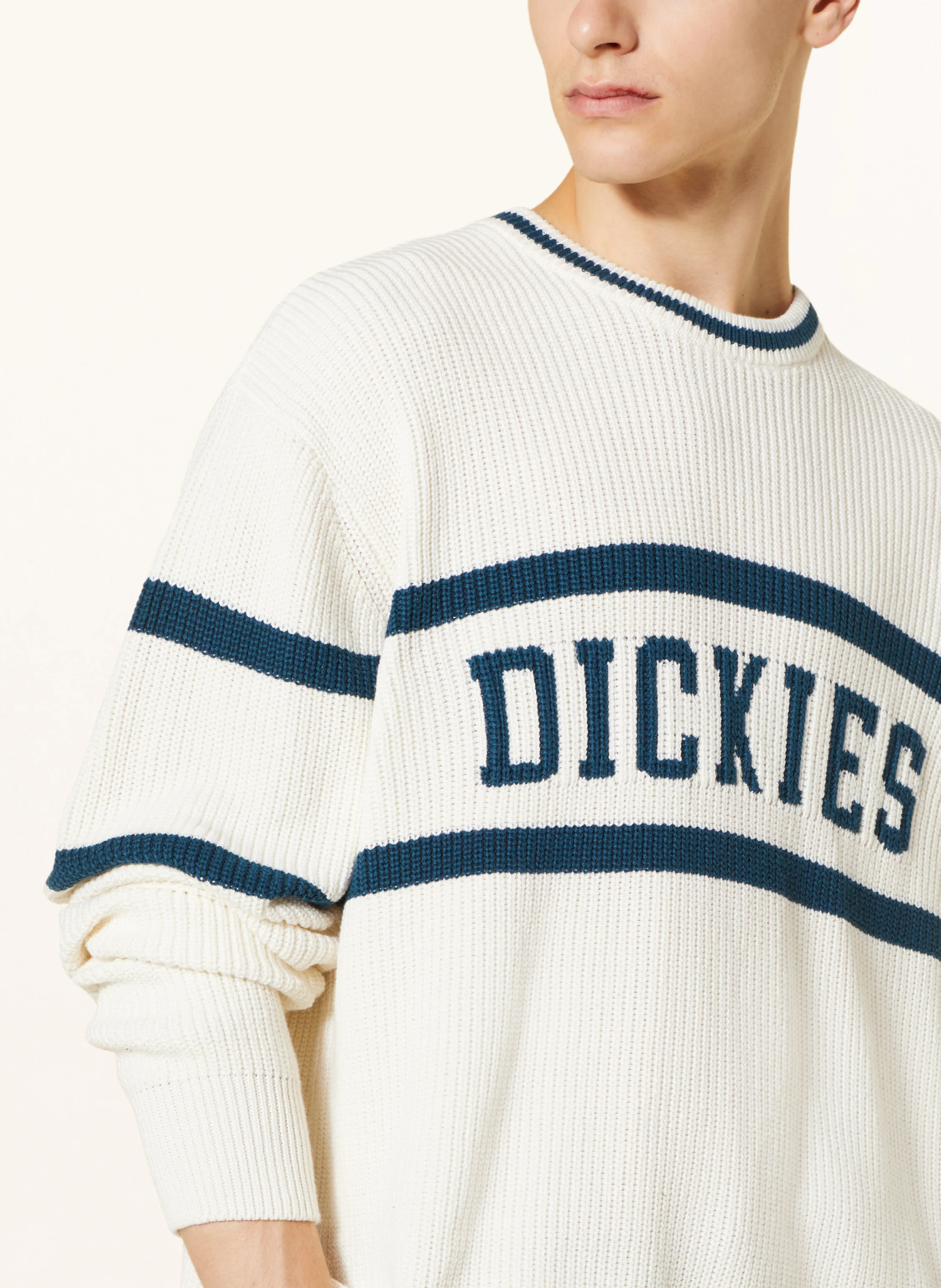 Dickies Pullover MELVERN
