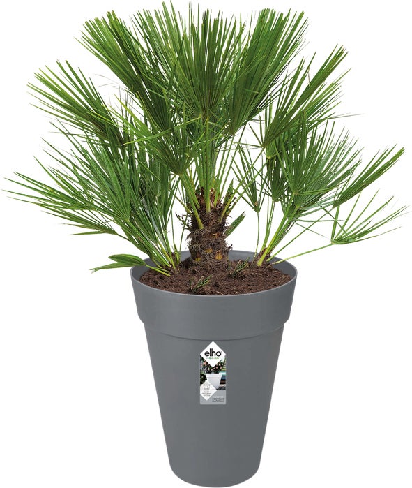 Elho bloempot Loft Urban antraciet D 27,5 H 35,8 cm