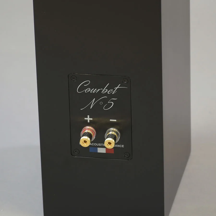 Davis Acoustics Courbet N°5 Noir Mat (la paire) Enceintes colonne
