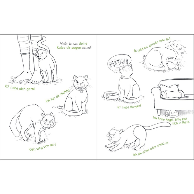 Mal doch mal! - Die Abenteuer meiner Katze