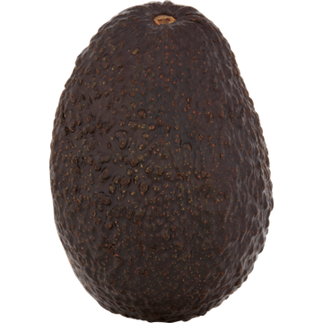 Jumbo Avocado