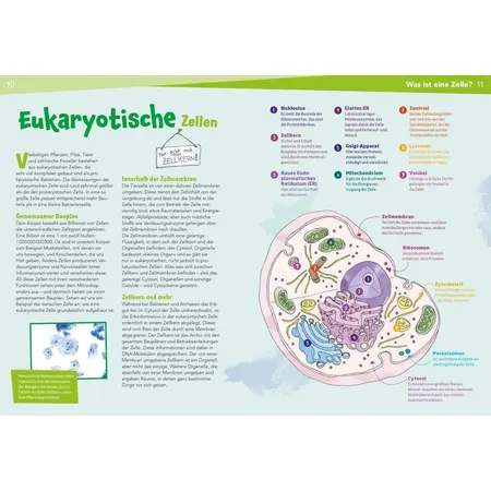 Tessloff Naturwissenschaften easy! Biologie. Die Zelle: Baustein des Lebens