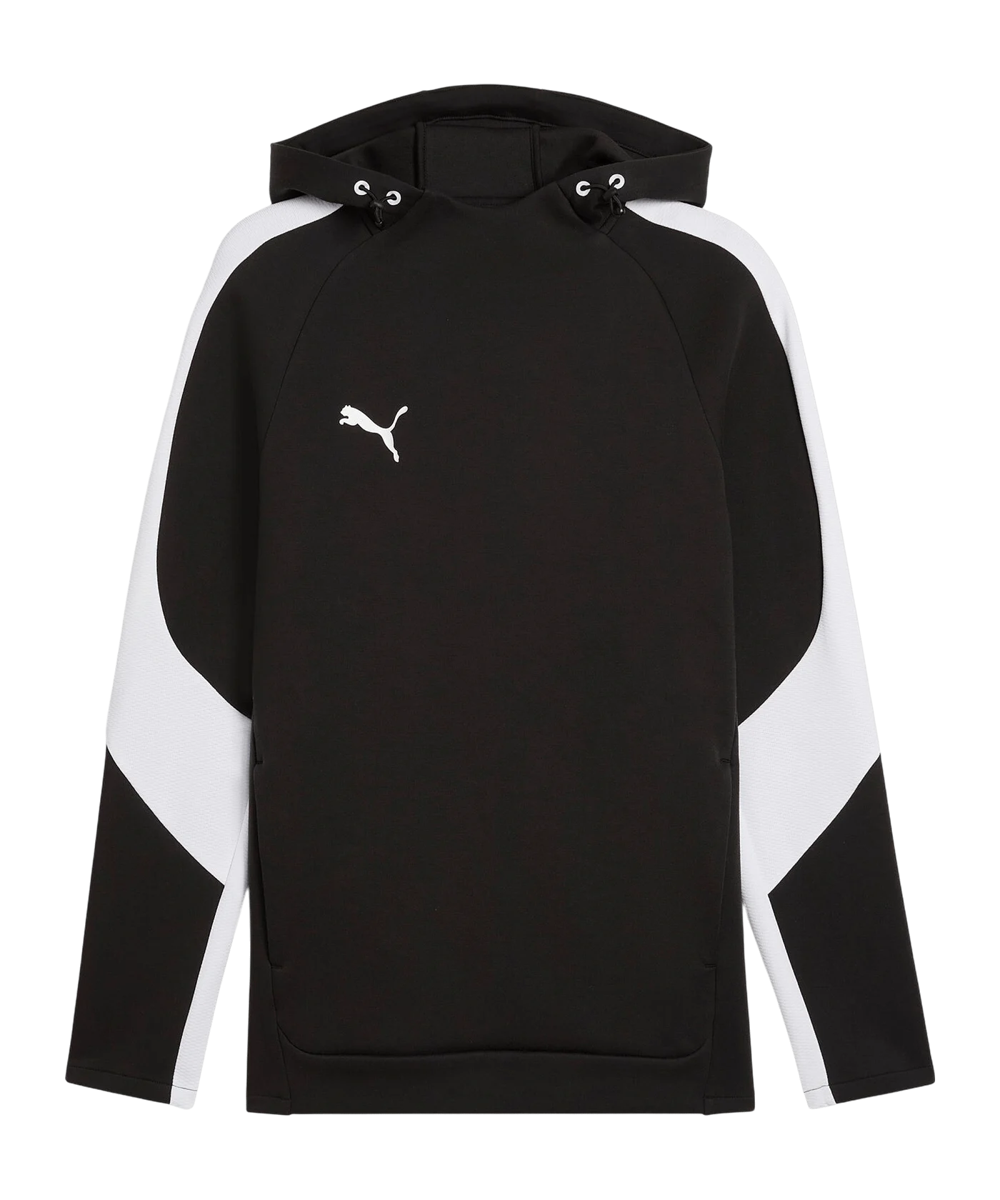 PUMA teamEvostripe Hoody Schwarz F03