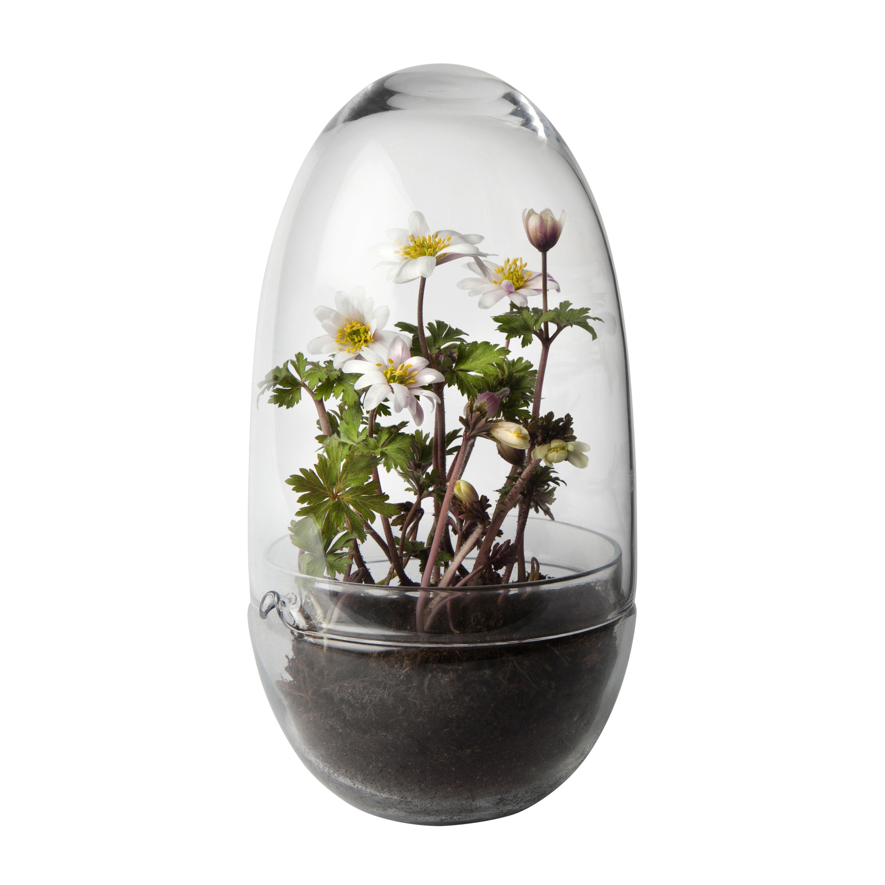 Design House Stockholm Grow Kweekkas