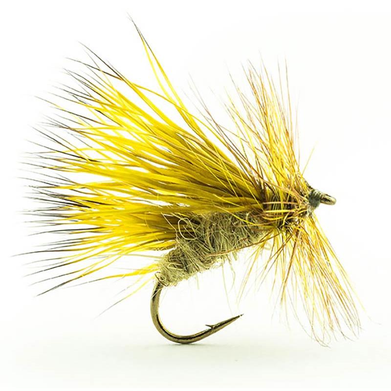 Mouche Devaux Sedge Tricoptheres Ps 03 Bl