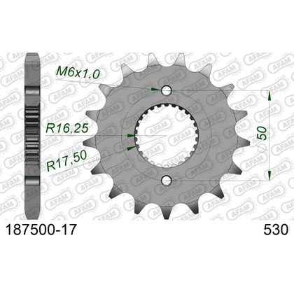 Kit chaine AFAM 530 Type Acier