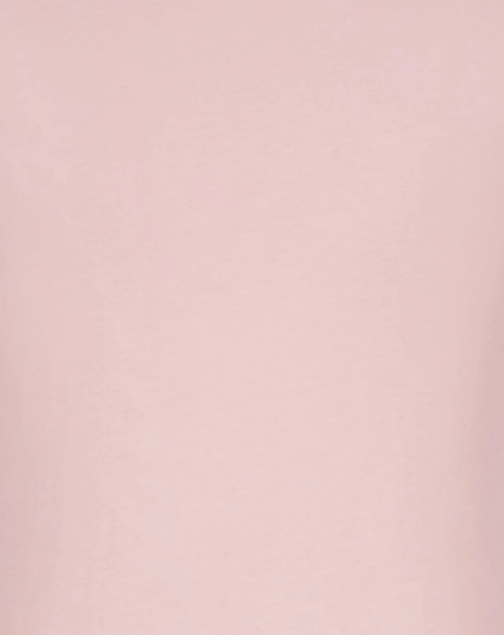 Langarmhshirt GLITZERPFERD in dusty rose