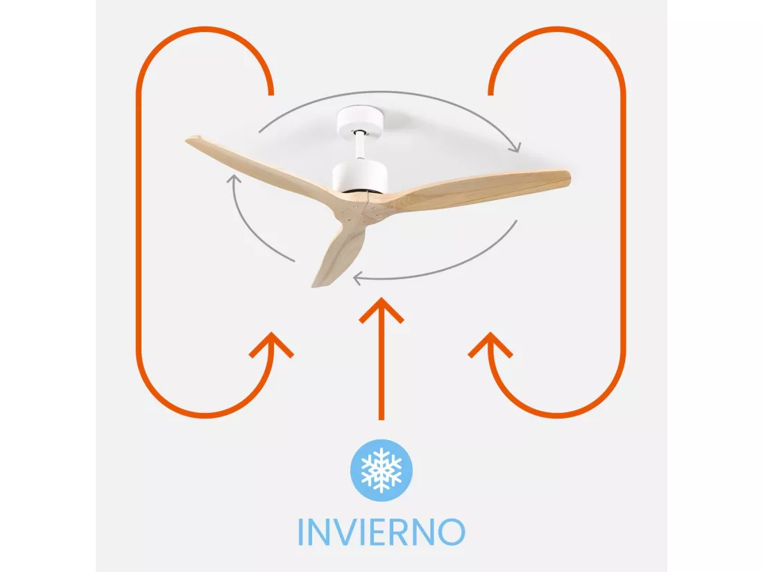 Nebraska Dayron Ventilateur de plafond 3 pales 55W 6 vitesses