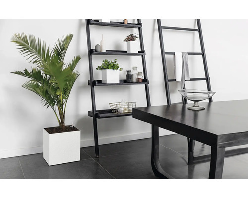 Cubico Stone plantenbak met plantenbak, kunststof, 33 x 33 x 33 cm, wit