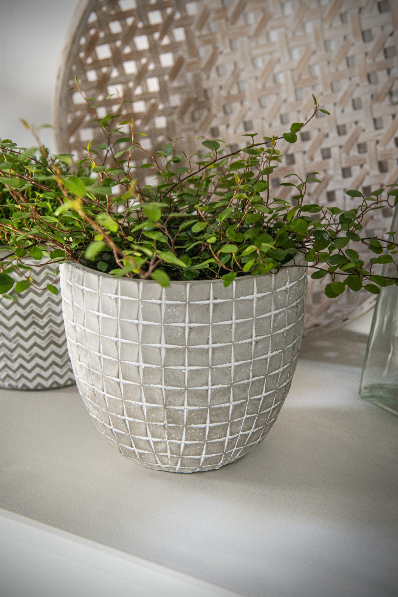Zementtopf 'Boîte', grau-weiß, Ø 17 cm, H 15 cm günstig bestellen