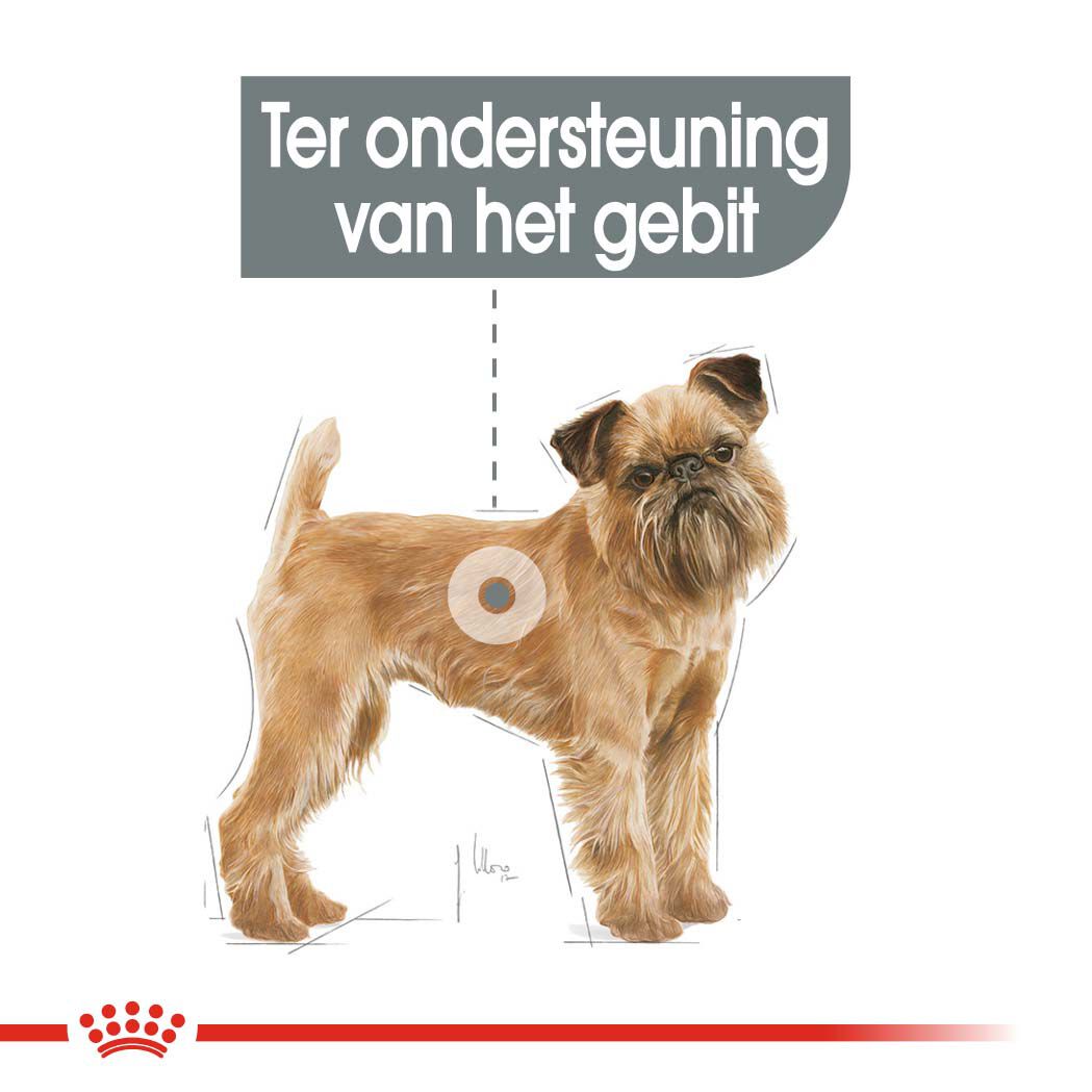 Royal Canin Dental Care Mini - Hondenvoer - 1 Kilogram - gevogelte