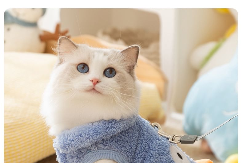 Cissilli - Animal Chenille Pet Top