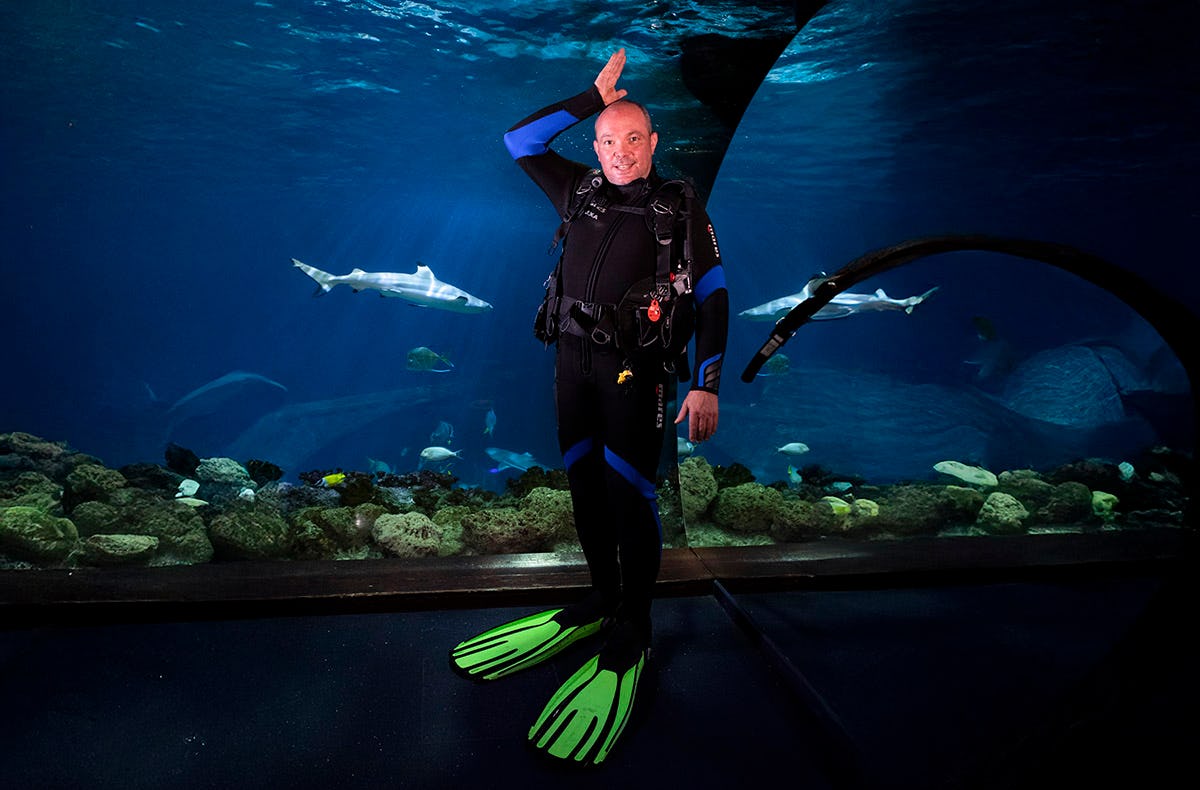 Sea Life Speyer (1 EW   1 Kleinkind)