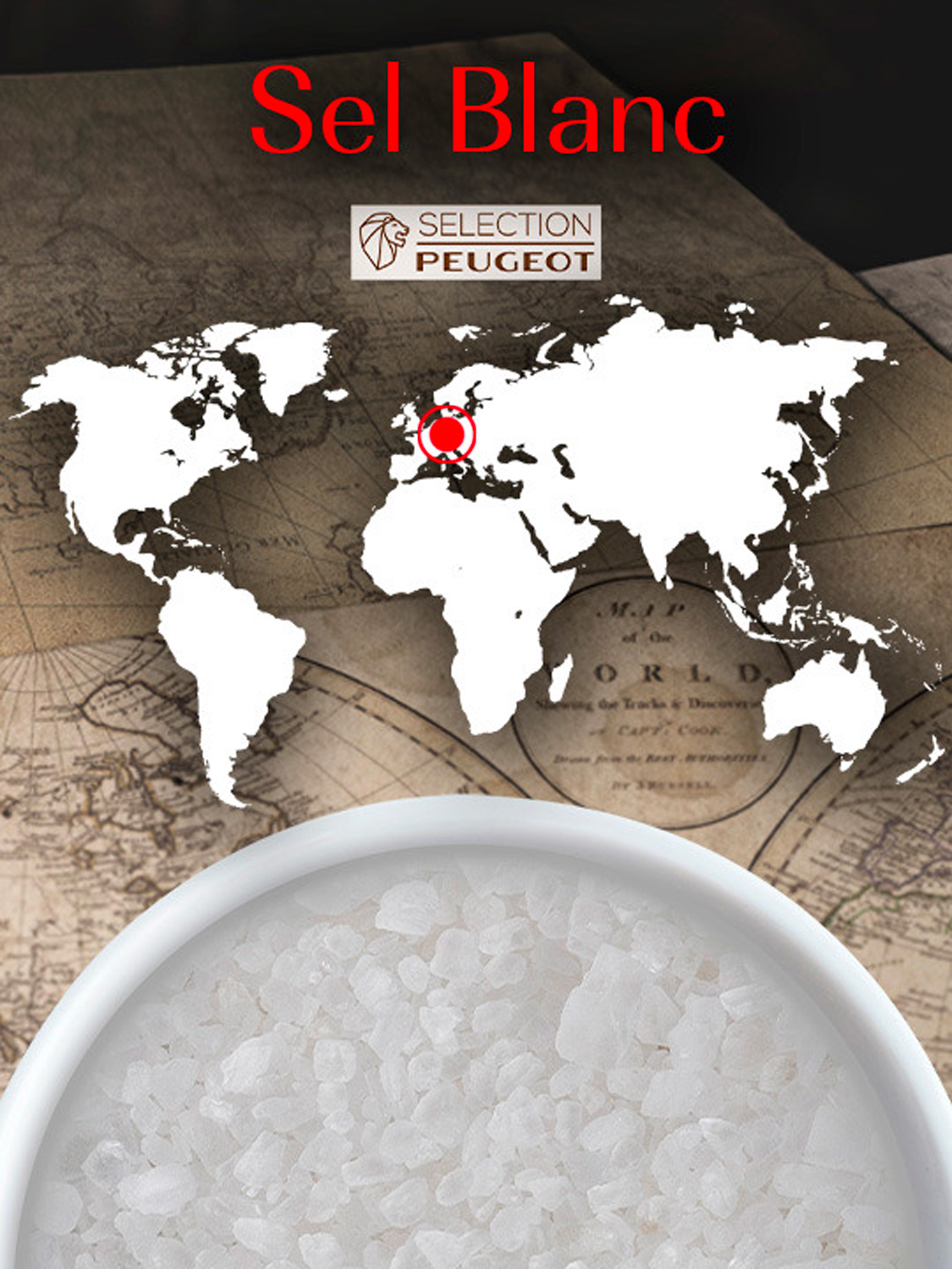 Gros Sel Blanc de cuisine Peugeot