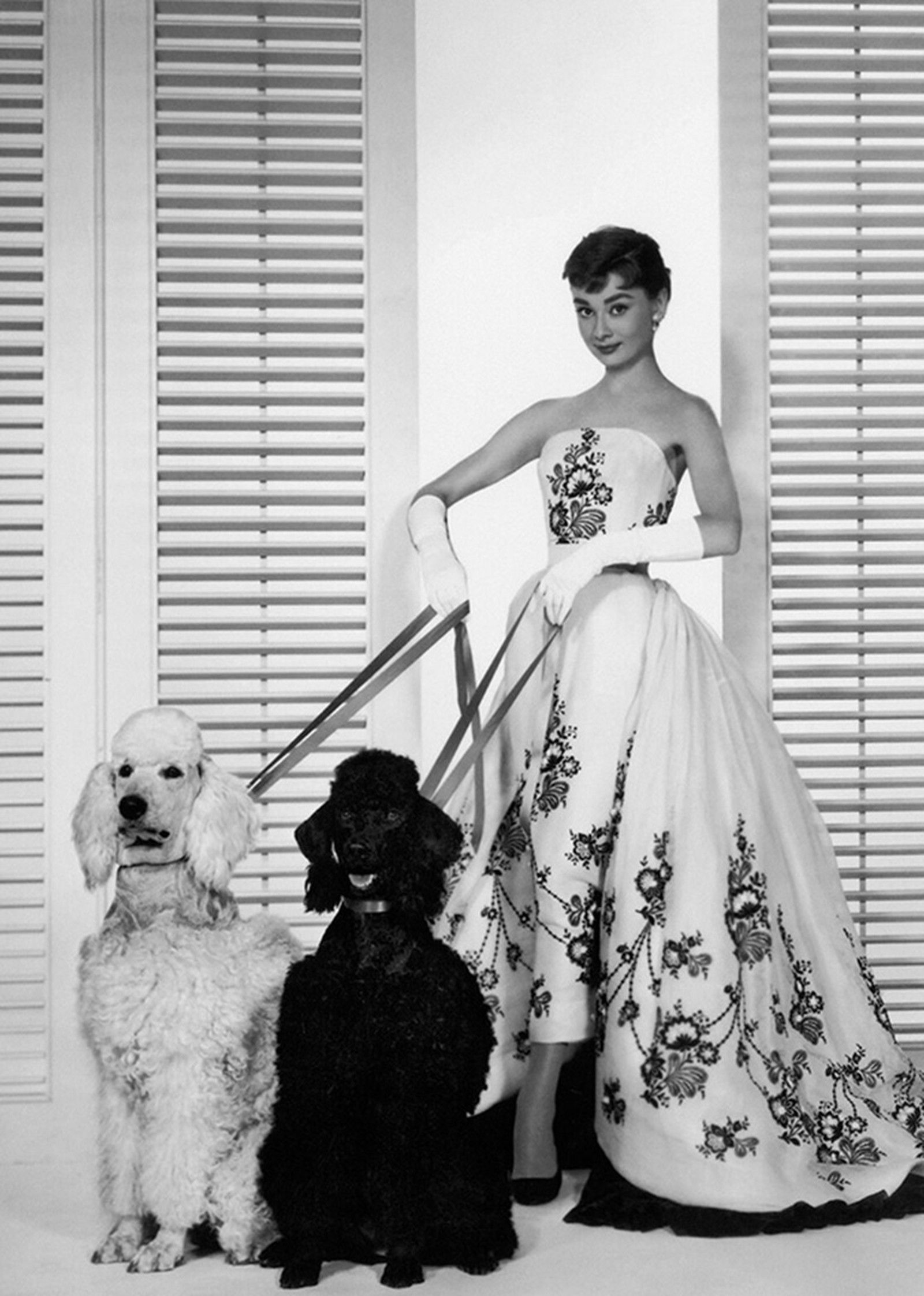 Audrey Hepburn with Poodle by Classic Collection II - Darlings - Small Limited Edition. 30x40.