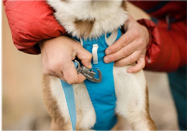 RUFFWEAR® Hundegeschirr Flagline Harness 2.0