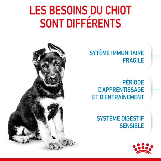 Croquettes grand chiot Puppy Maxi de 2 à 15 mois 15kg