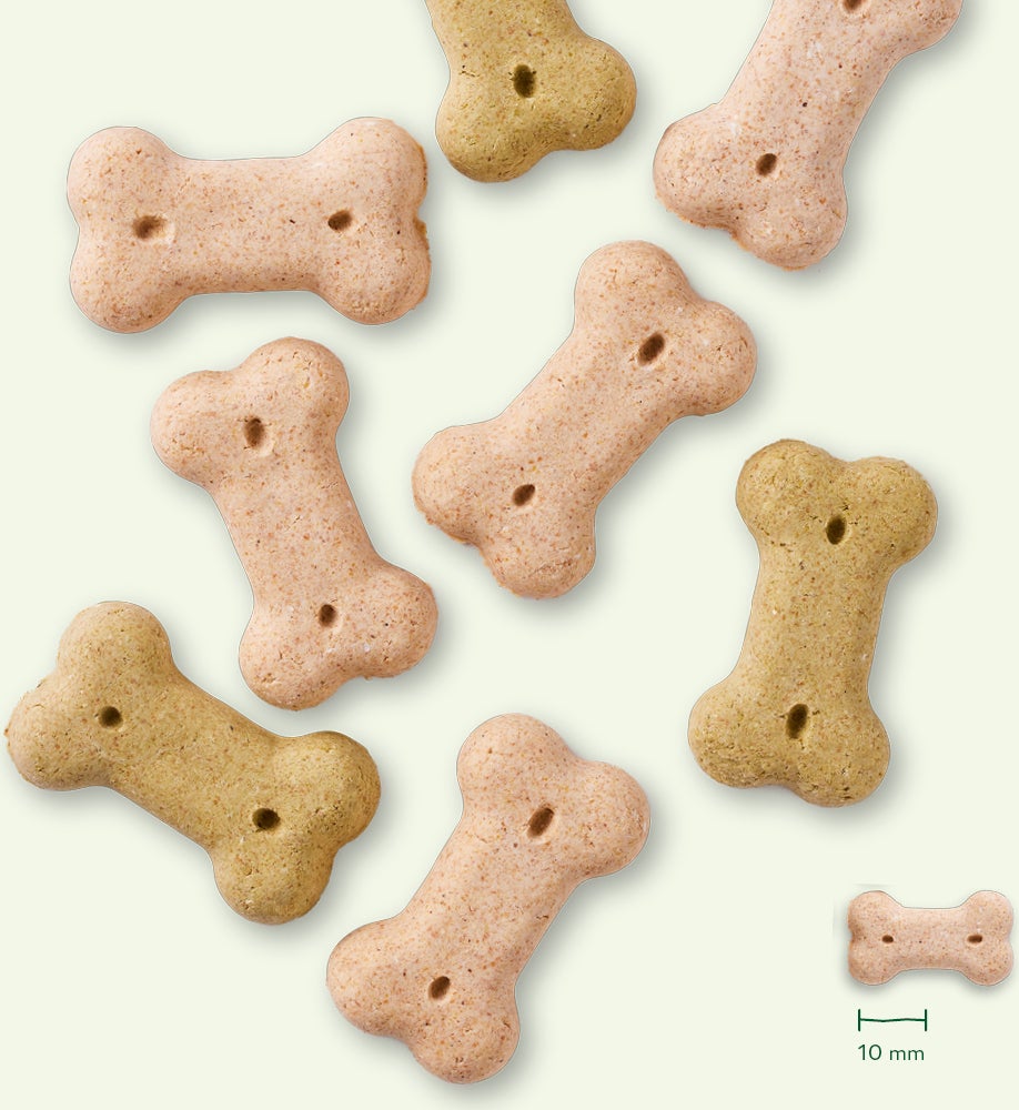Yarrah biologische hondenkoekjes klein 250 g
