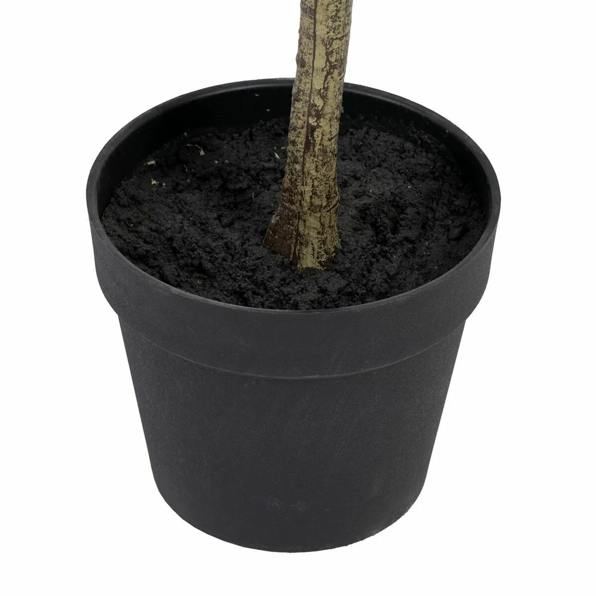 BigBuy Home Eucalyptus - H.180 cm