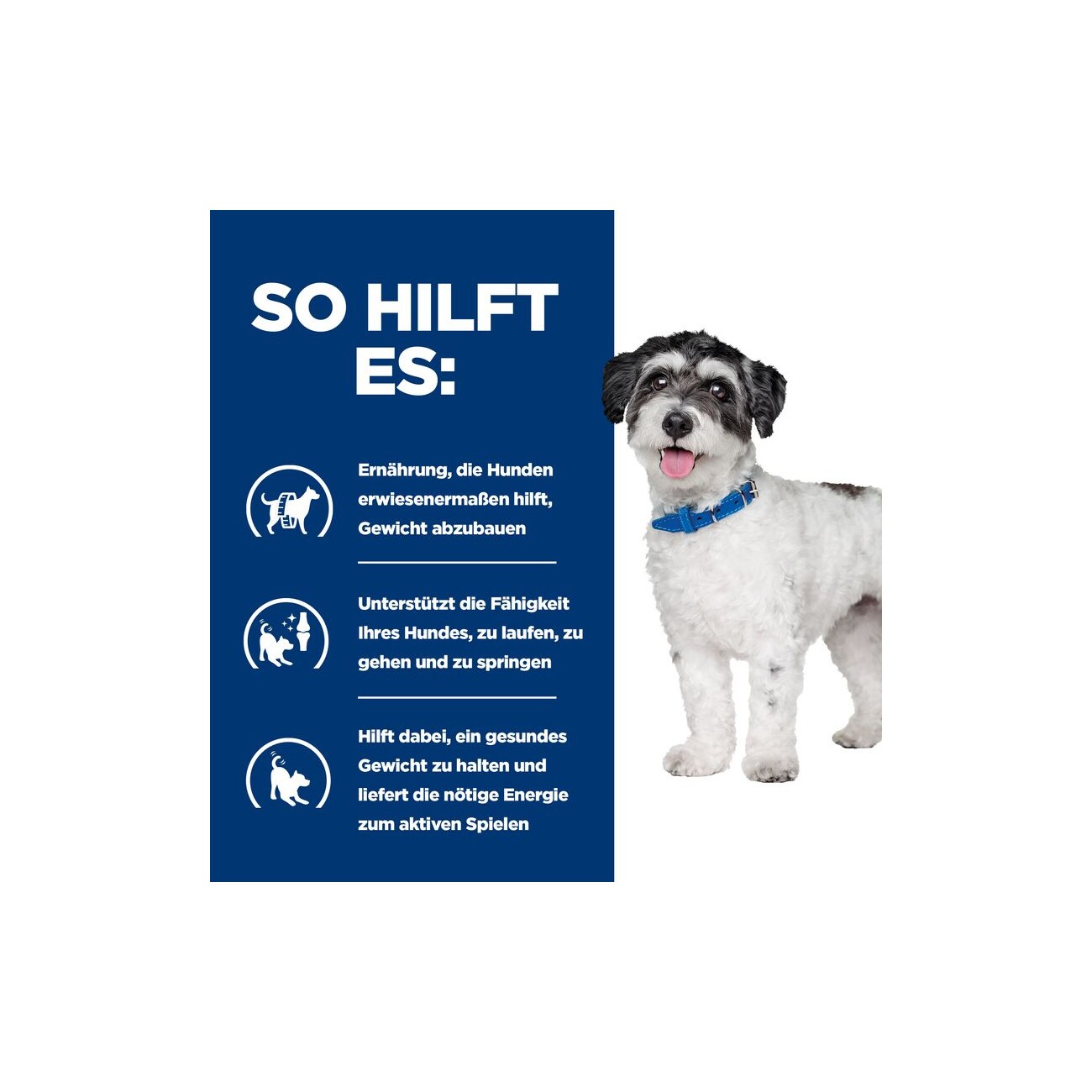 Hill's Prescription Diet Metabolic + Mobility j/d Mini 6 kg