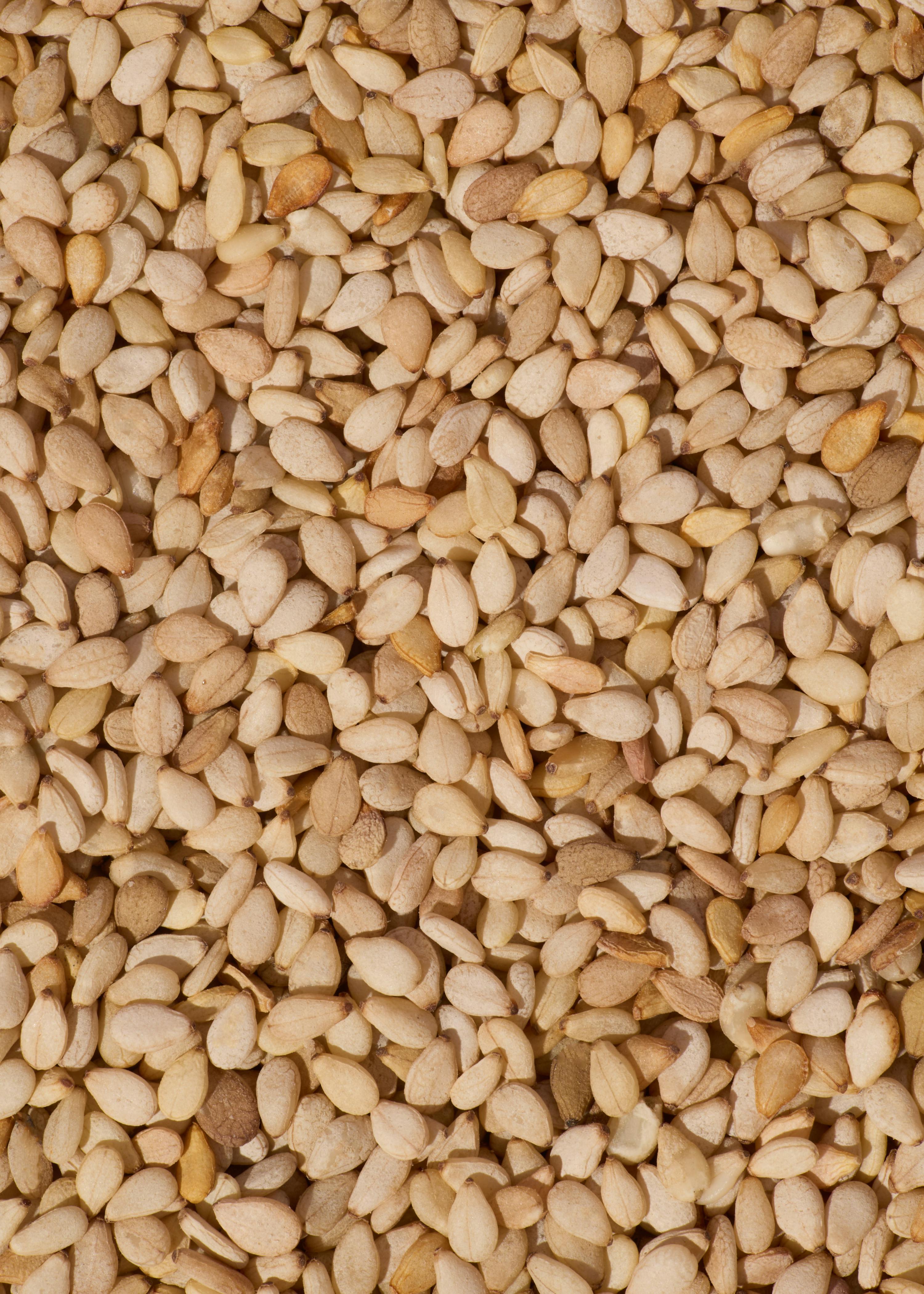 Ungeschälter Bio Sesam 1 kg