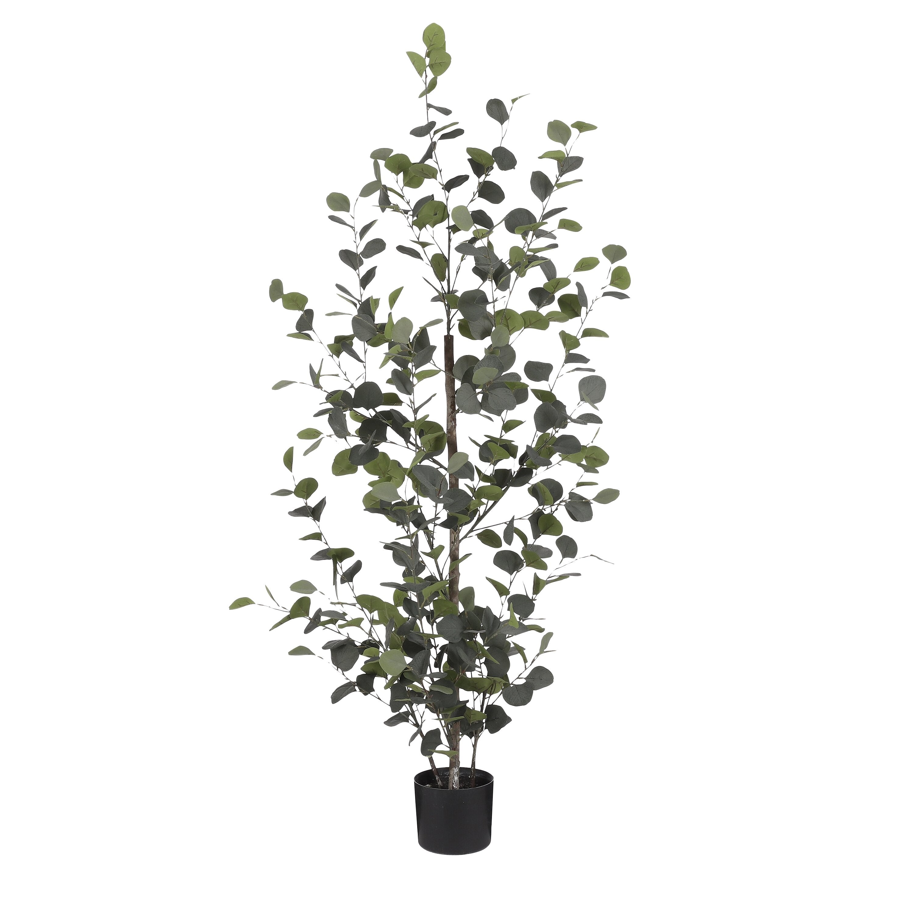 Mica Decorations Eucalyptus in pot groen - h150xd30cm