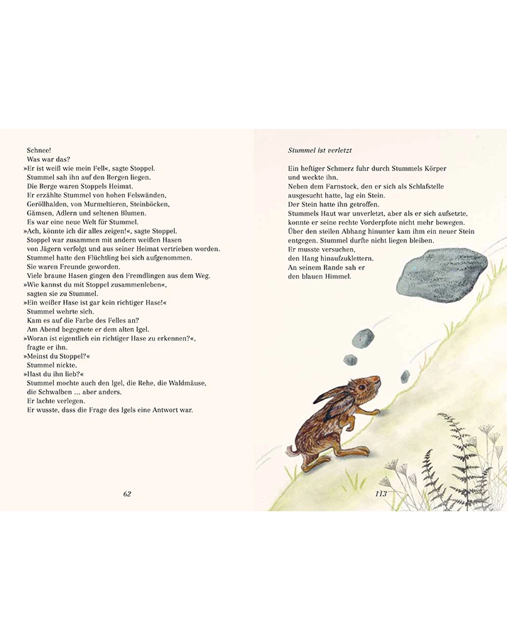 Stummel - Ein Hasenkind wird groß