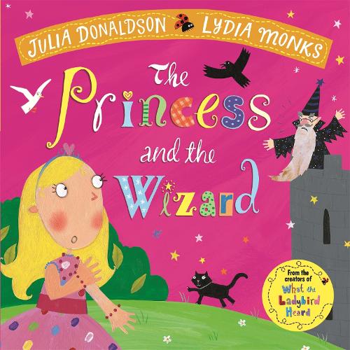 The Princess and the Wizard (Paperback)